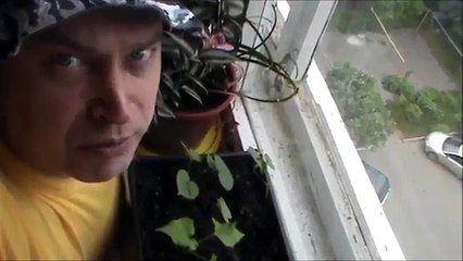 Видео Сегодня 28 мая 2017 год, День пограничника — Мужики пограничники на улице