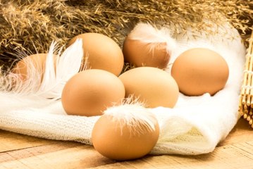 Zehirli Yumurta Krizi Asya'ya da Sıçradı