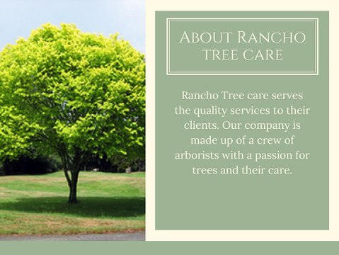Best Tree Removal & Tree Trimming Services in Fontana
