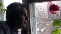 VIDEO VLOG — ПЁС ЕГО ЗНАЕТ ( Геннадий Горин ) балдёж