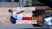 These Drivers Have Witnessed the Most Random Sightings on the Road