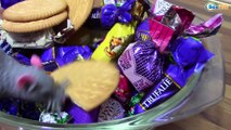Щенячий патруль смотреть! Нападение вредных животных на конфеты! Видео для детей