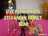 LITTLE LIVE PET KIDNAPS SYLVANIAN FAMILY BEAR SUPER GIRL MANTIS MARVEL, Toys BABY Videos, DC SUPER GIRL HEROES, SYLVANIA