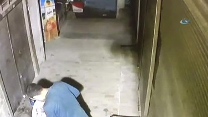 Papağan Hırsızları Güvenlik Kamerasında