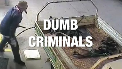 Criminals Found Guilty... of Being Dumb