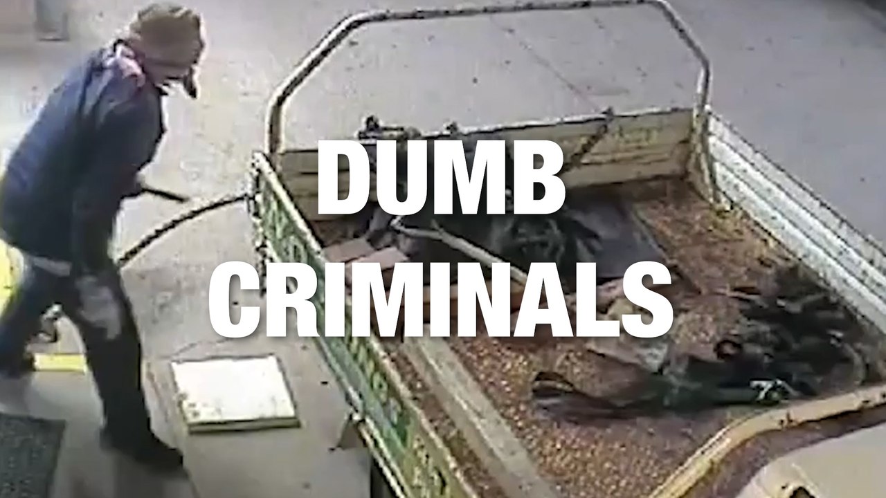 Criminals Found Guilty... of Being Dumb