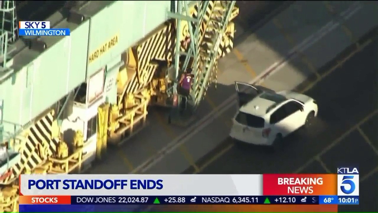 Man Falls to His Death After Climbing Crane During Police Pursuit