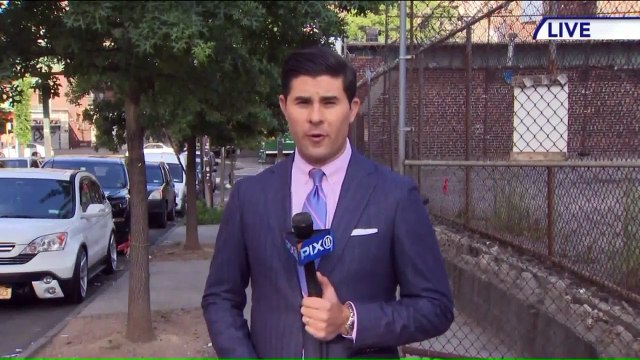 Men Collecting Bottles Makes Gruesome Discovery In Shopping Cart