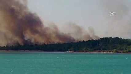 Ayvalık'ta Orman Yangını (2)