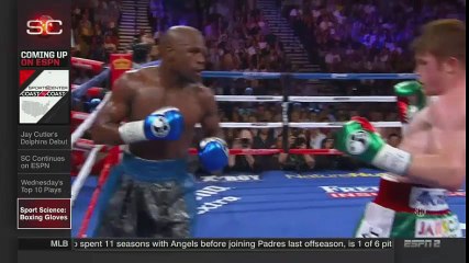 Sports Science 8 oz Gloves Mayweather vs McGregor