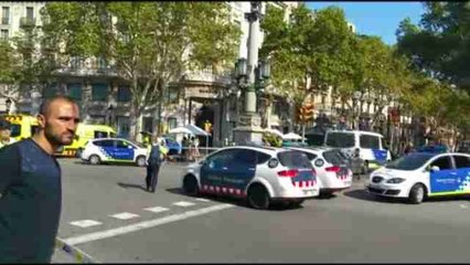 Several people injured as van hits crowds in Barcelona