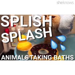 Animals taking baths