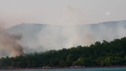 Ayvalık'ta Orman Yangını (4)