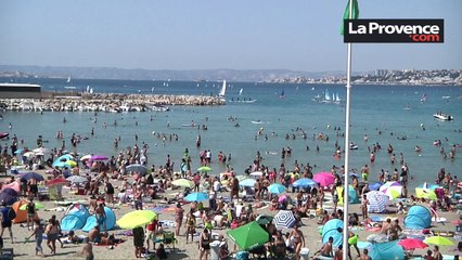 Marseille : "Les touristes et les Marseillais peuvent venir à la plage en toute sécurité" (Préfet de police)