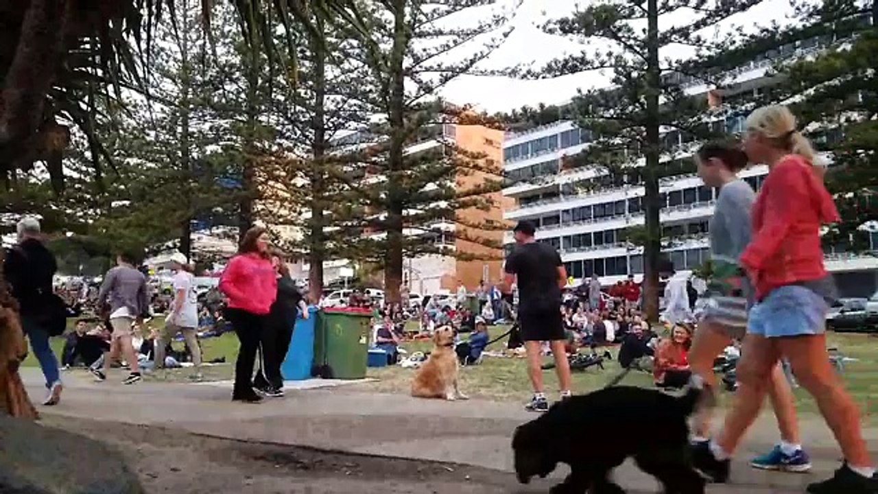 Un chien refuse de partir d'un parc