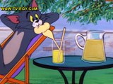 حصريا جميع حلقات كارتون - توم وجيري Tom and Jerry حلقة -104-