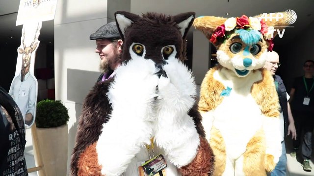 'Furry' enthusiasts gather for Eurofurence convention