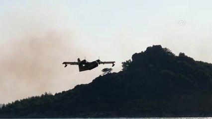 Ayvalık'ta Orman Yangını (3)