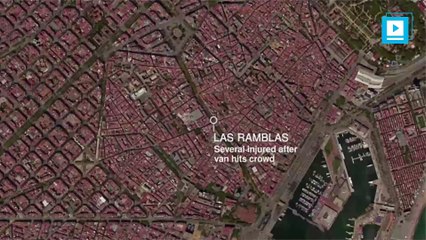 Van crashes into crowds in Barcelona