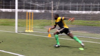 goalkeeper / Gardien de but / 18 years old / 18 ans / Montreal, Canada / Contact : talaingiresse@yahoo.fr