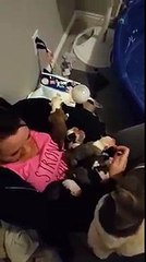 Cette chienne confie ces chiots a sa maîtresse