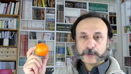 Lezione su Schopenhauer