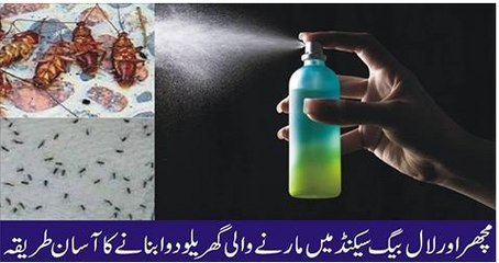 How to Get Rid of Cockroaches and mosquito Naturally in urdu