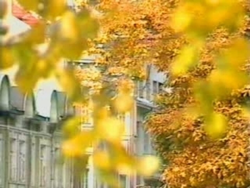 Nelina - Kukuvica