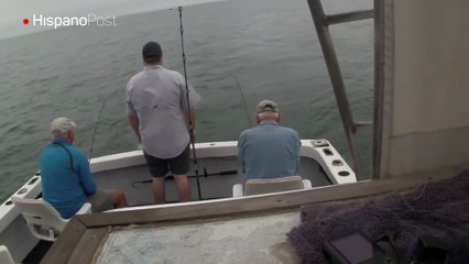 Pescadores fueron sorprendidos por un tiburón con ansías de volar