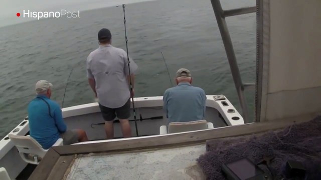 Pescadores fueron sorprendidos por un tiburón con ansías de volar