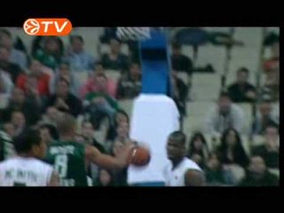 Panathinaikos-Siena, Preview