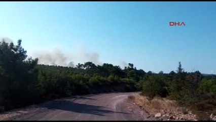 Balıkesir Ayvalık'ta Orman Yangını Ek - 3