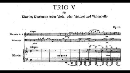 Johannes Brahms: Trio for clarinet, cello and piano Op. 114 (1891)