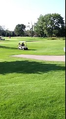 Un golfeur ivre sute un parterre de fleurs avec la golftette