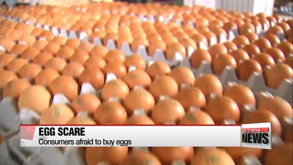 Fears of pesticide-contaminated eggs growing in Korea