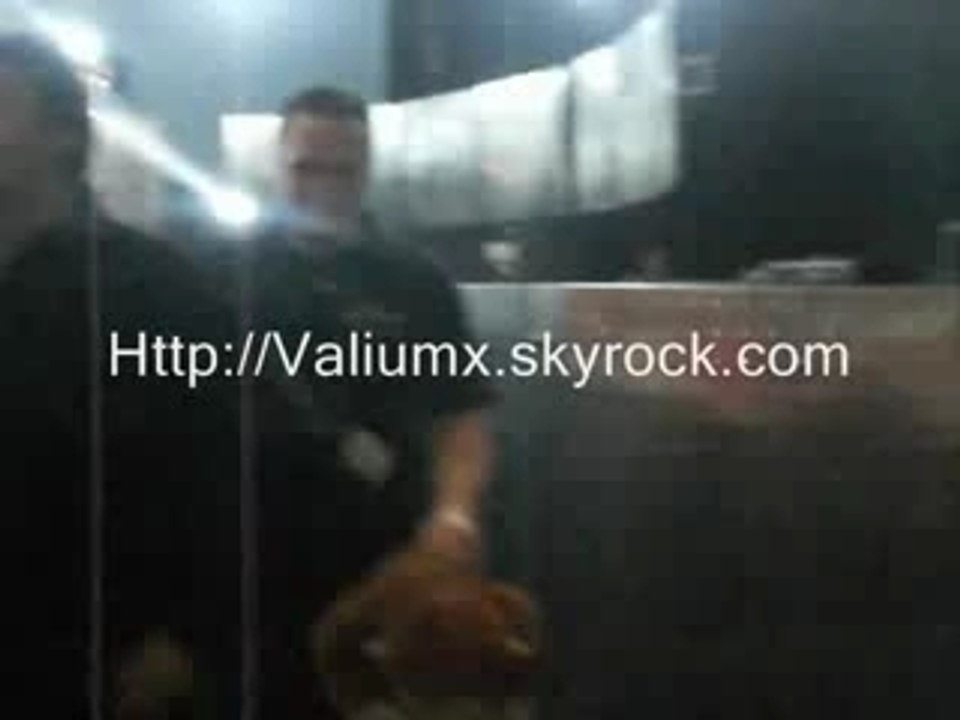 Tobby singe