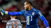 Vincent Enyeama 2017 ● Best Saves ● Amazing saves & skills show |LOSC lille|| HD 720p