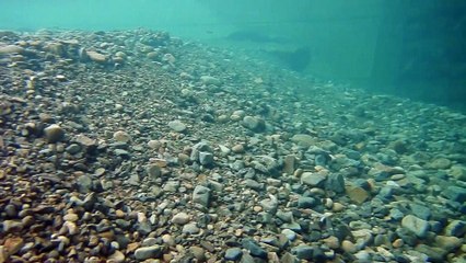 ダムのない清流〜富田川＊大好きな淵でシュノーケリング