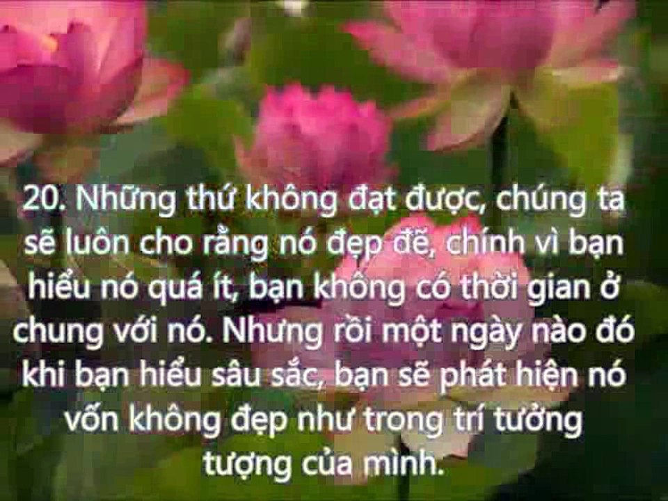 LỜI PHẬT DẠY TUYỆT HAY