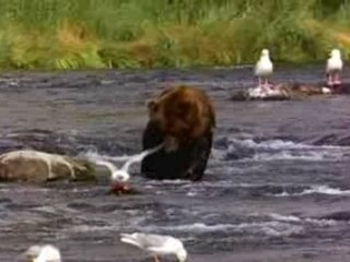 ludovic tanda et manuela eh oui