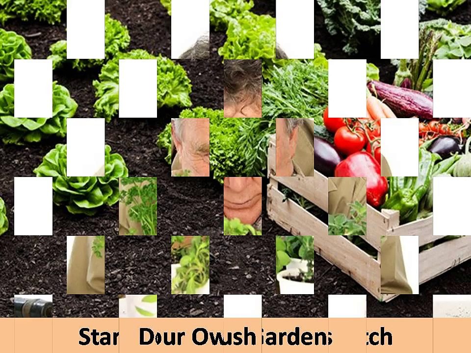 Tips For Starting A Homestead