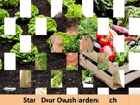 Tips For Starting A Homestead