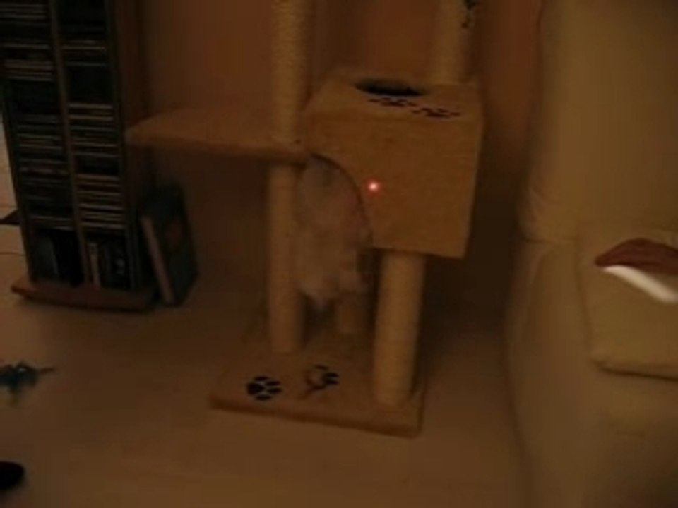 Caïleen et le laser