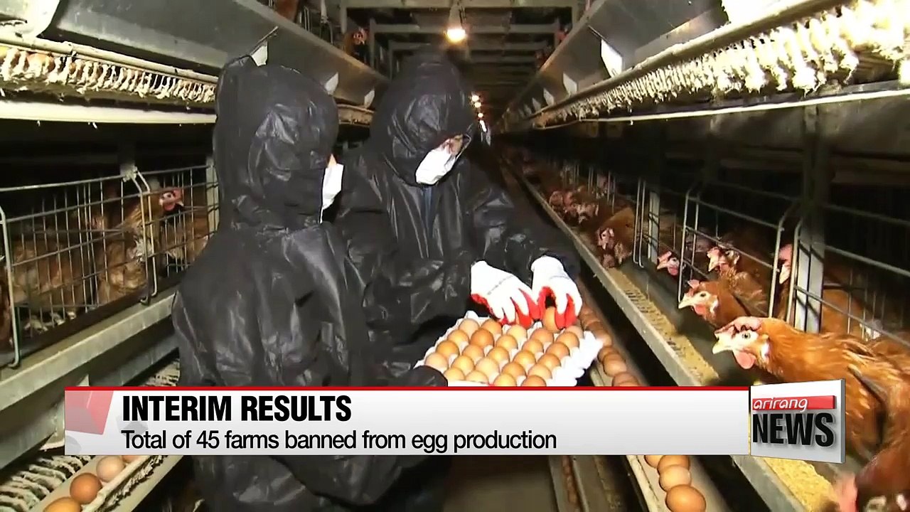 Government announces interim results of eggs inspection
