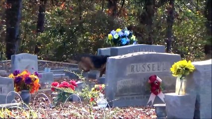 Long Lost Grave of Elviss Twin Brother Jesse Garon Presley