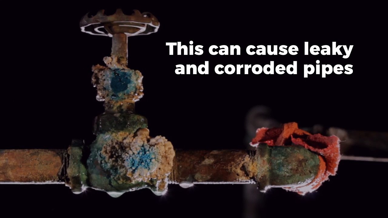 Top Three Ways to Prevent Plumbing Problems, According to Plumbers