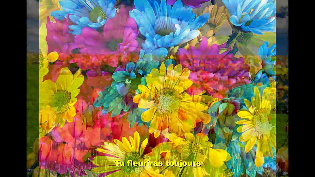 Danielle Darrieux Petite fleur (Sidney Bechet Petite fleur)