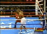 Bernard Hopkins vs Robert Allen II (06-02-1999) Full Fight