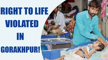 Gorakhpur Tragedy: Infants continue to die, state govt. silent | Oneindia News