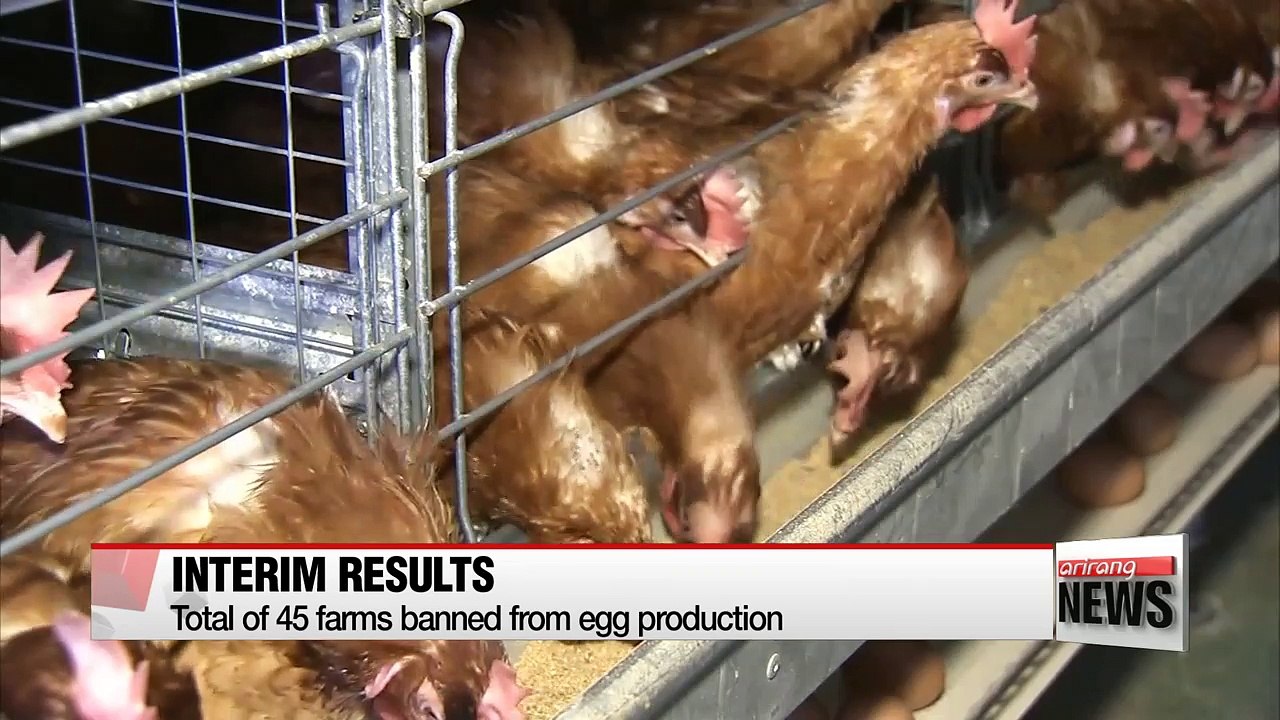 Government announces interim results of eggs inspection
